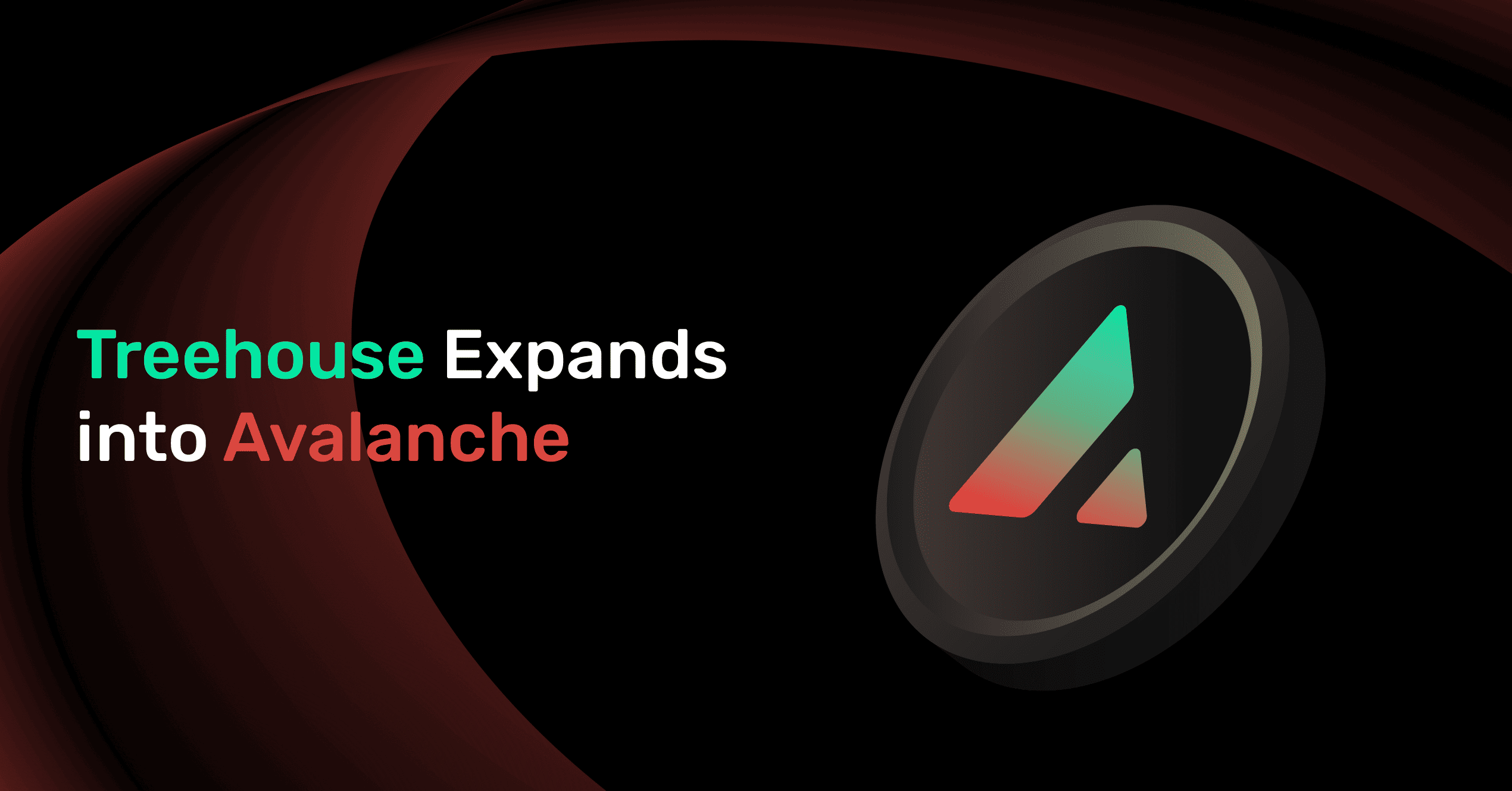 image of the blog detal